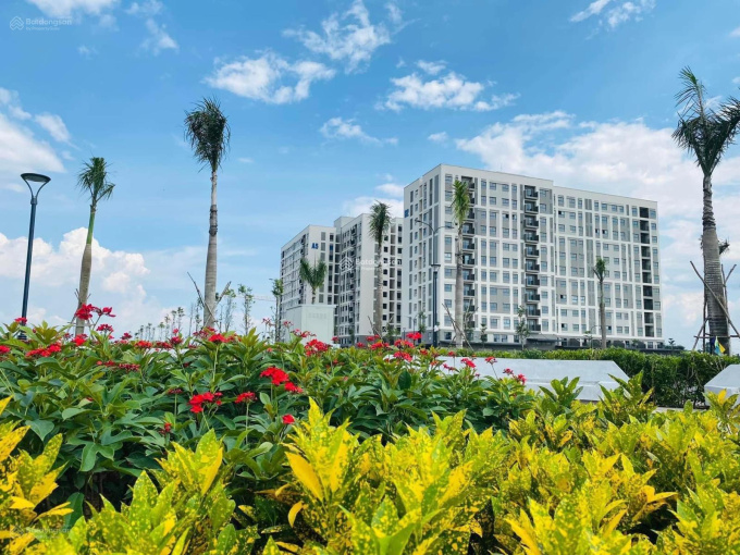 Hình thực tế căn hộ Ehome Southgate