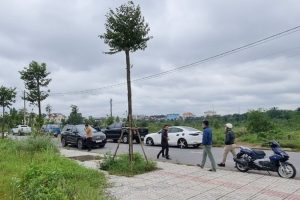 sot dat kho quay tro lai trong 3 nam toi