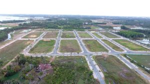 chuyen gia ky vong dat nen 2024 se lam thi truong khoi sac 1