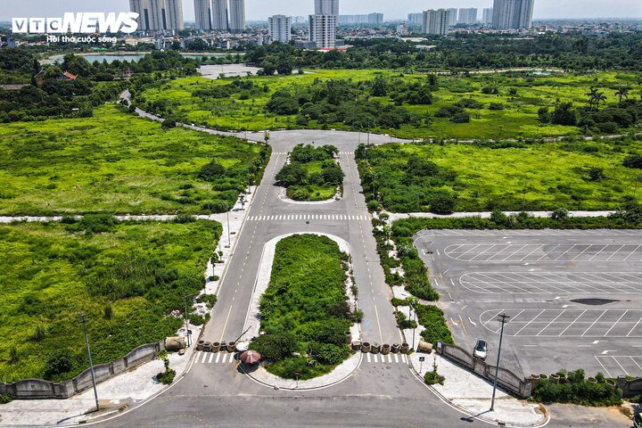 sau 2 nam ngu dong dat nen co hoi phuc trong 2024