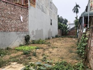 Thị trường bất động sản phía Nam chỉ có 7 lô đất được giao dịch trong 2 tháng đầu năm