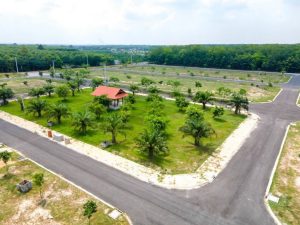 Chuyên gia bất ngờ dự báo về giá đất nền khi bước vào chu kì mới
