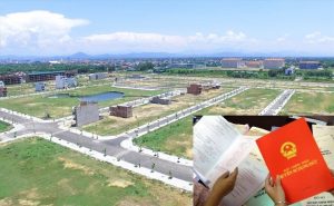 Đất nền Hóc Môn, Củ Chi, Cần Giờ diễn biến ra sao sau động thái chặn phân lô bán nền?