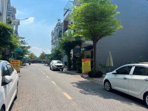 Nhà đầu tư ôm đất nền suốt 4 năm không bán được: Có lúc tôi cũng nản lắm