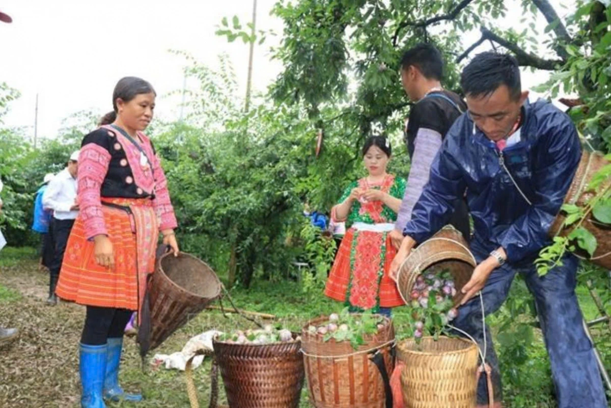 Cao tốc Hoà Bình – Mộc Châu dự kiến khởi công vào tháng 7/2025 2 cao toc hoa binh moc chau du kien khoi cong vao thang 7 2025 hinh1